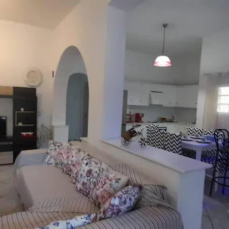 Beautiful House In The Capital Of Apartment